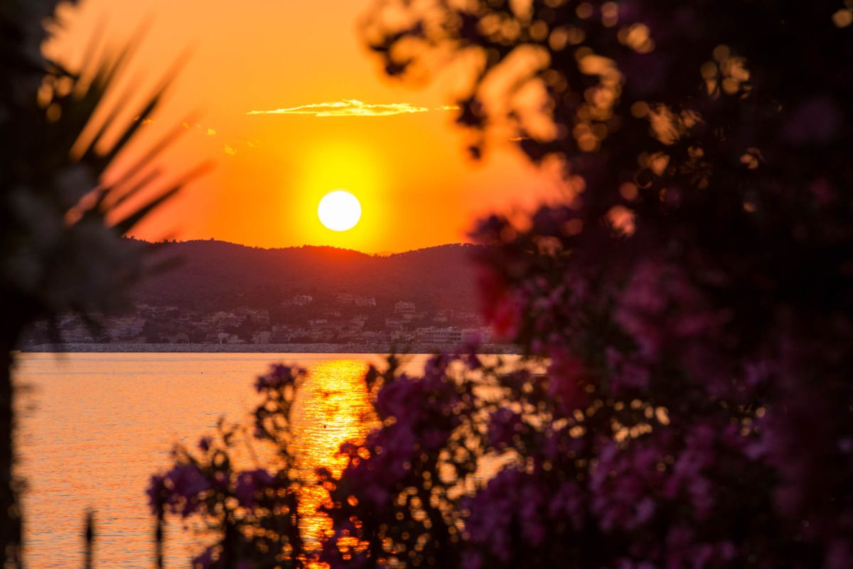 pension-ageri-home-03